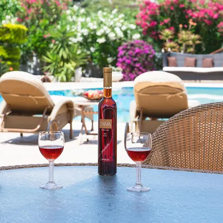 D'amour Villa Aspous