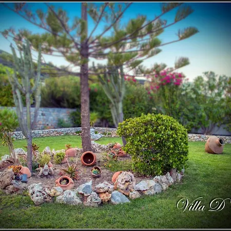 D'amour Skyros